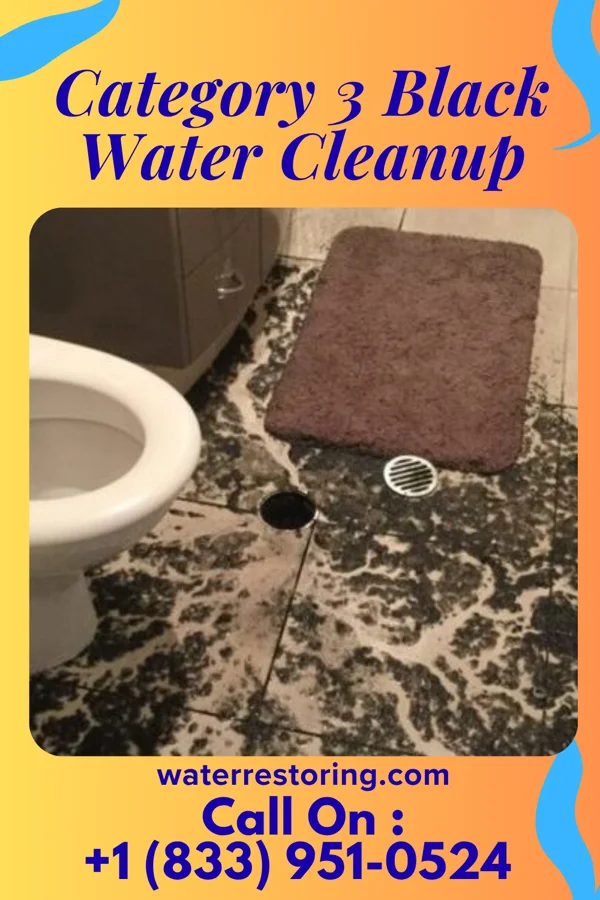 Category 3 Black Water Cleanup in Rolesville, NC