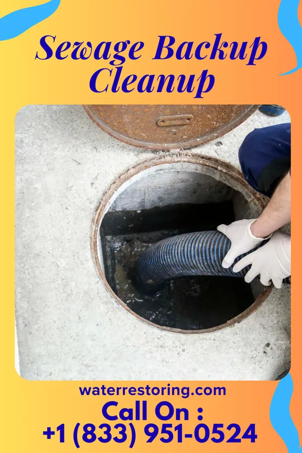 Sewage Backup Cleanup in Rolesville, NC