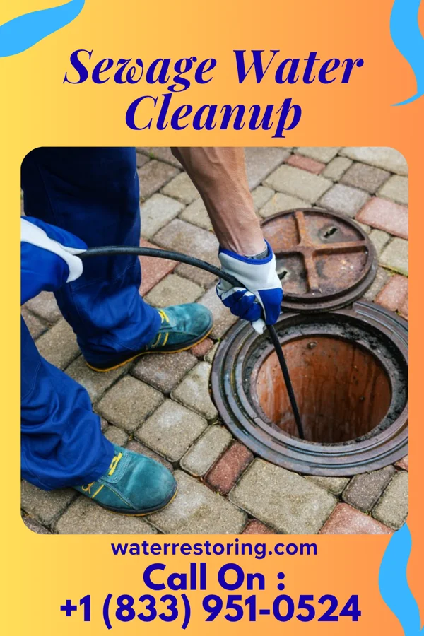 Sewage Water Cleanup in Rolesville, NC