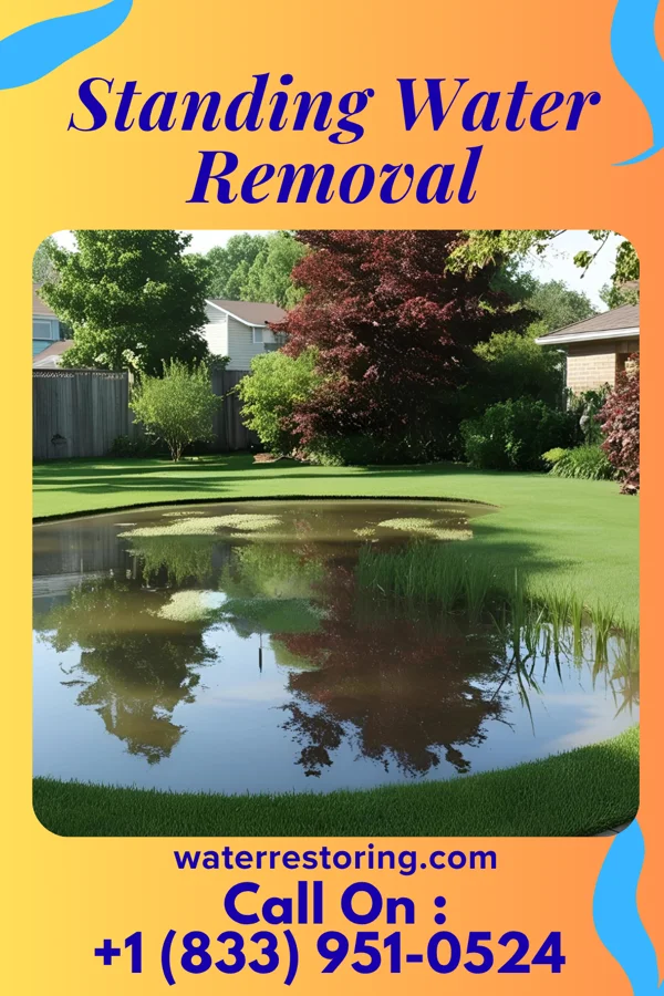 Standing Water Removal in Rolesville, NC